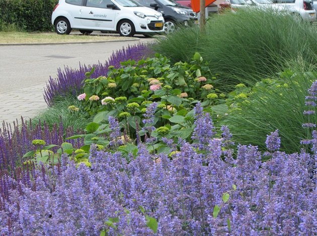 Onze duurzame tuin stijlvol èn verantwoord Van Jaarsveld Tuinen