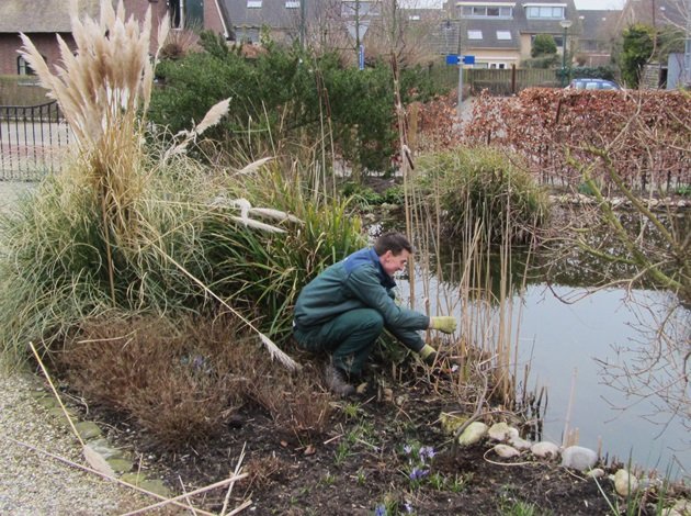 Uw vijveronderhoud dit voorjaar Van Jaarsveld Tuinen