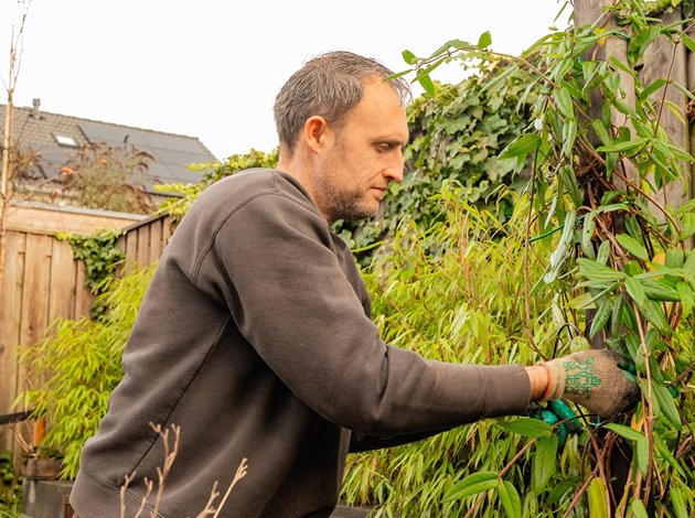voorjaarsonderhoud opbinden van klimplanten