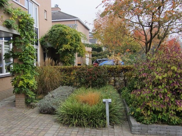 Uw Tuin Winterklaar Maken Belangrijk Genoeg Van Jaarsveld Tuinen