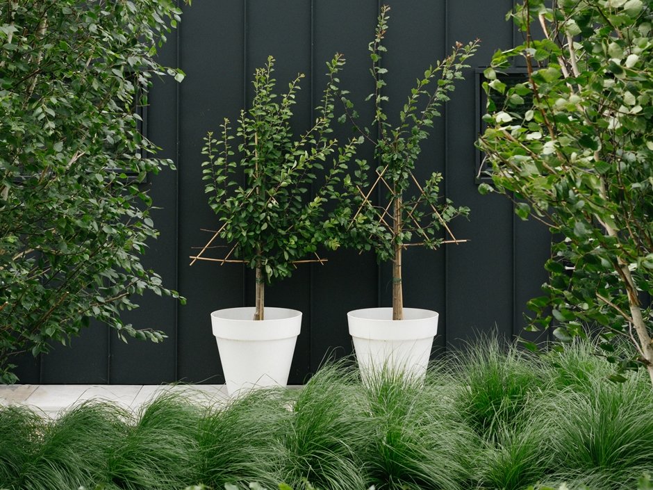 Detail van de beplanting met wuivende grassen en strakke lijnen in het ontwerp