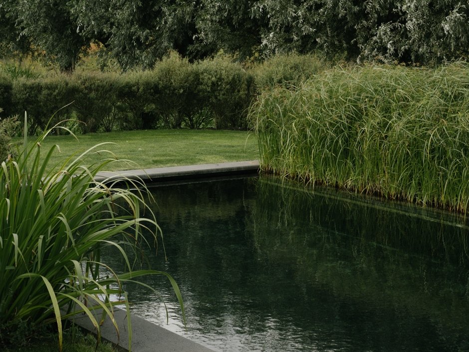 Nattuurlijk zwembad met rustig gazon en beplanting in heldere groepen 