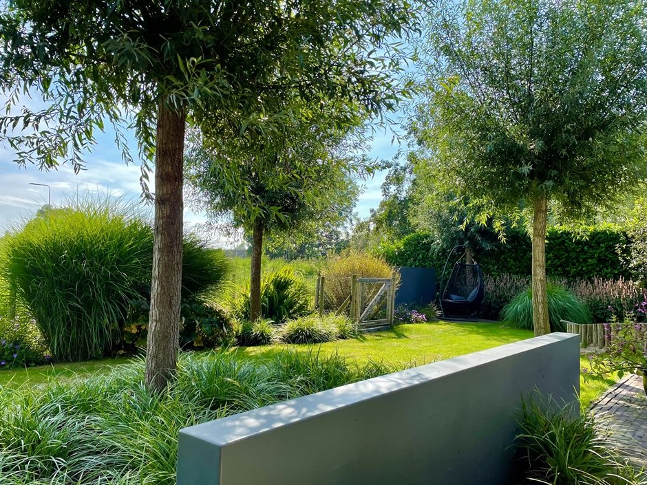 Knotwilgen in combinatie met siergrassen en bloeiende vaste planten in een tuin in Amstelveen