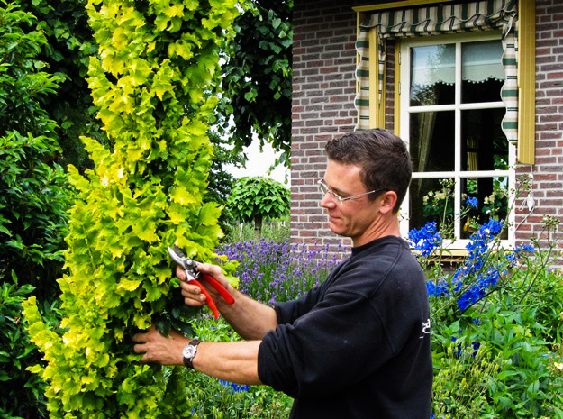 Tuinonderhoud in een particuliere tuin door hoveniersbedrijf van Jaarsveld Tuinen