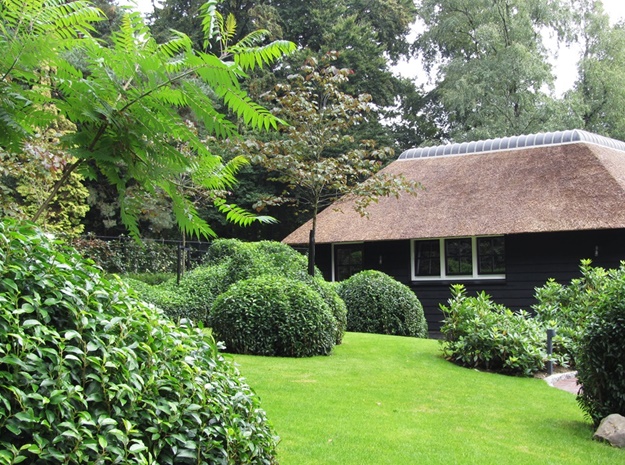 Bostuin met gazon en groenblijvende wolken